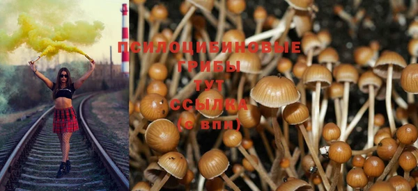 трава Баксан