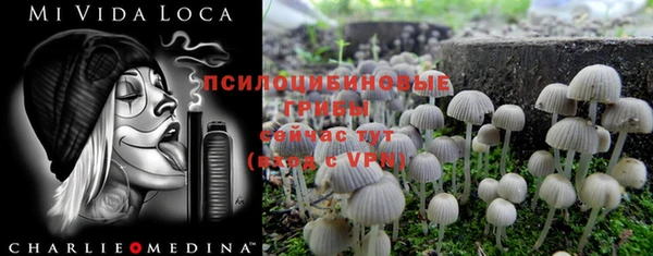 трава Баксан