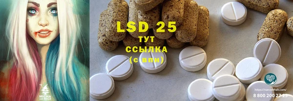 ПСИЛОЦИБИНОВЫЕ ГРИБЫ Балахна